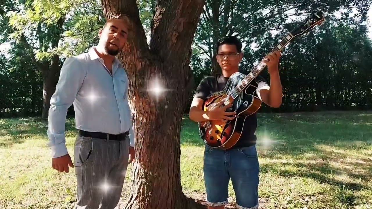 Zsoltika - GÓLYA GÓLYA / HALLGATÓ/