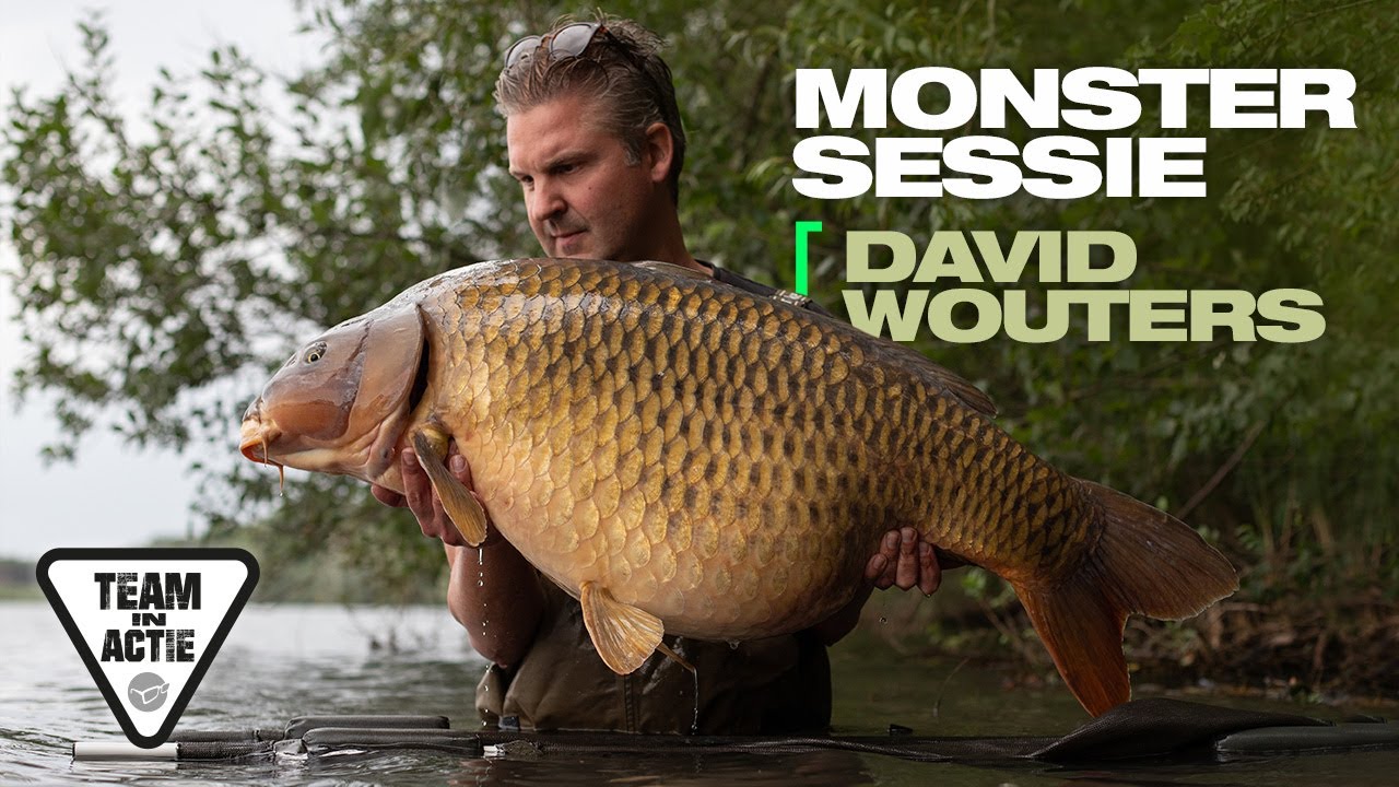GROTE KARPERS van een groot helder water in Belgie - Team Korda in actie - David Wouters