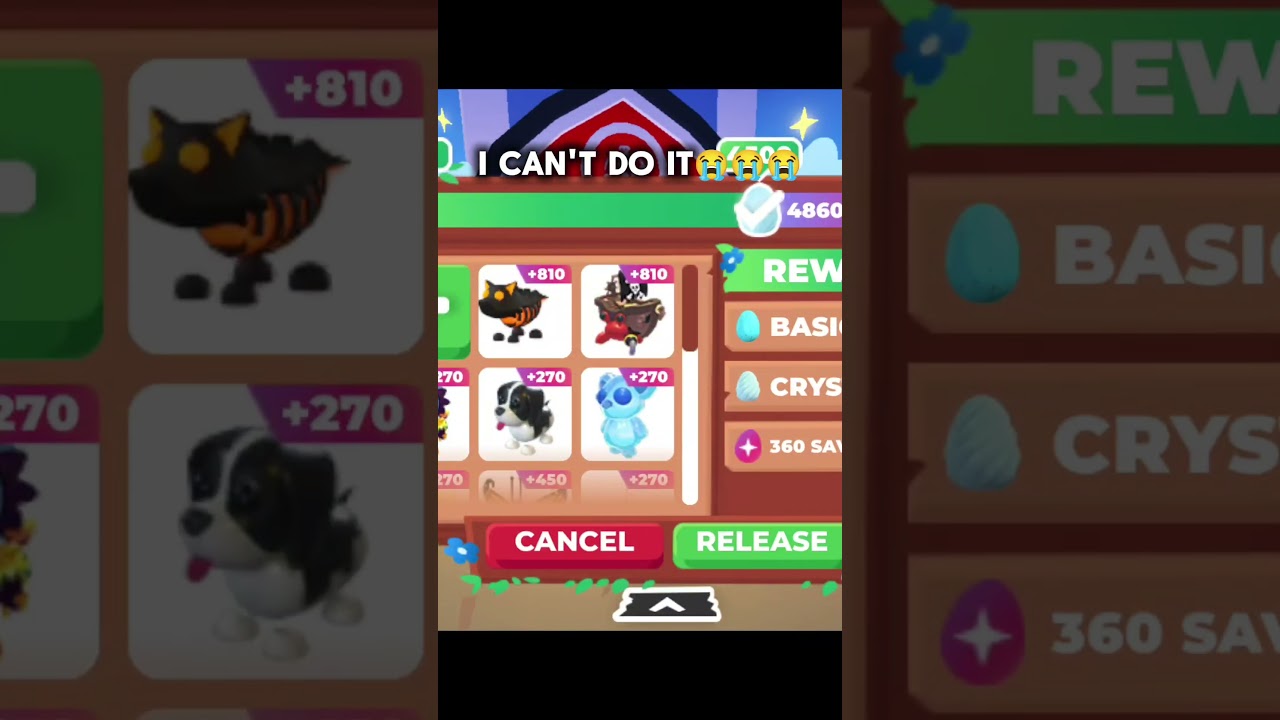 what is this update adopt me...😔🔥 #adoptmepreppy #roblox #playadoptme #adoptme #robloxgame