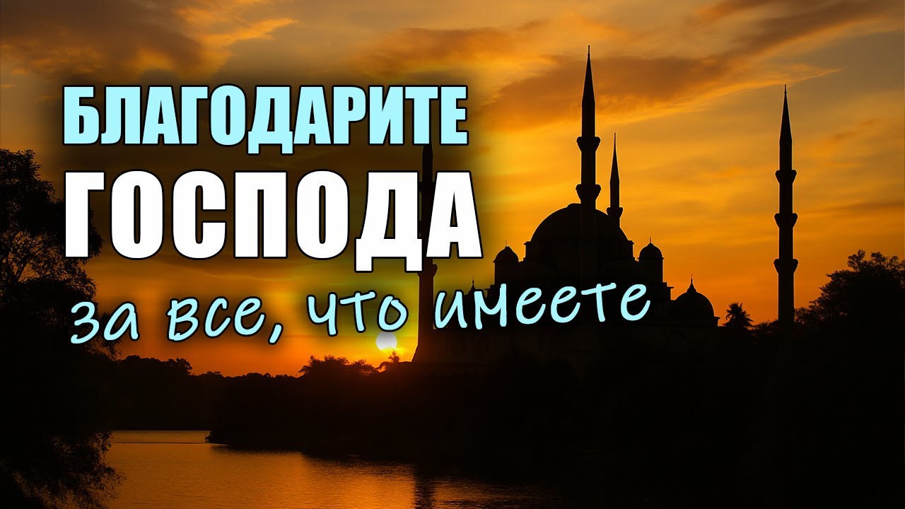 Благодарность Аллаху — путь к увеличению благ