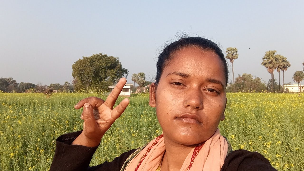 Aaj Meine Dekhi gehu ki Baliyan