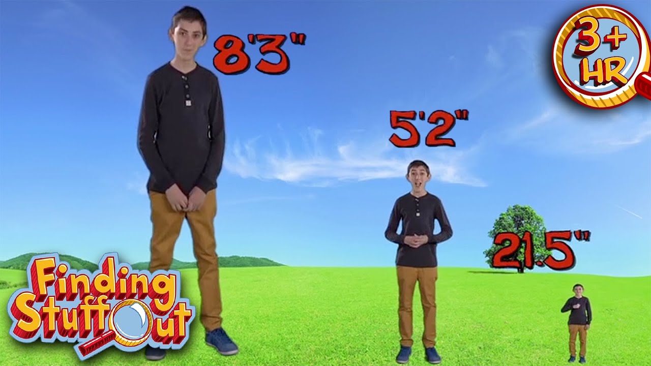 Can You Make Yourself Grow Taller? | Exploring Growth in Humans and Animals | Finding Stuff Out