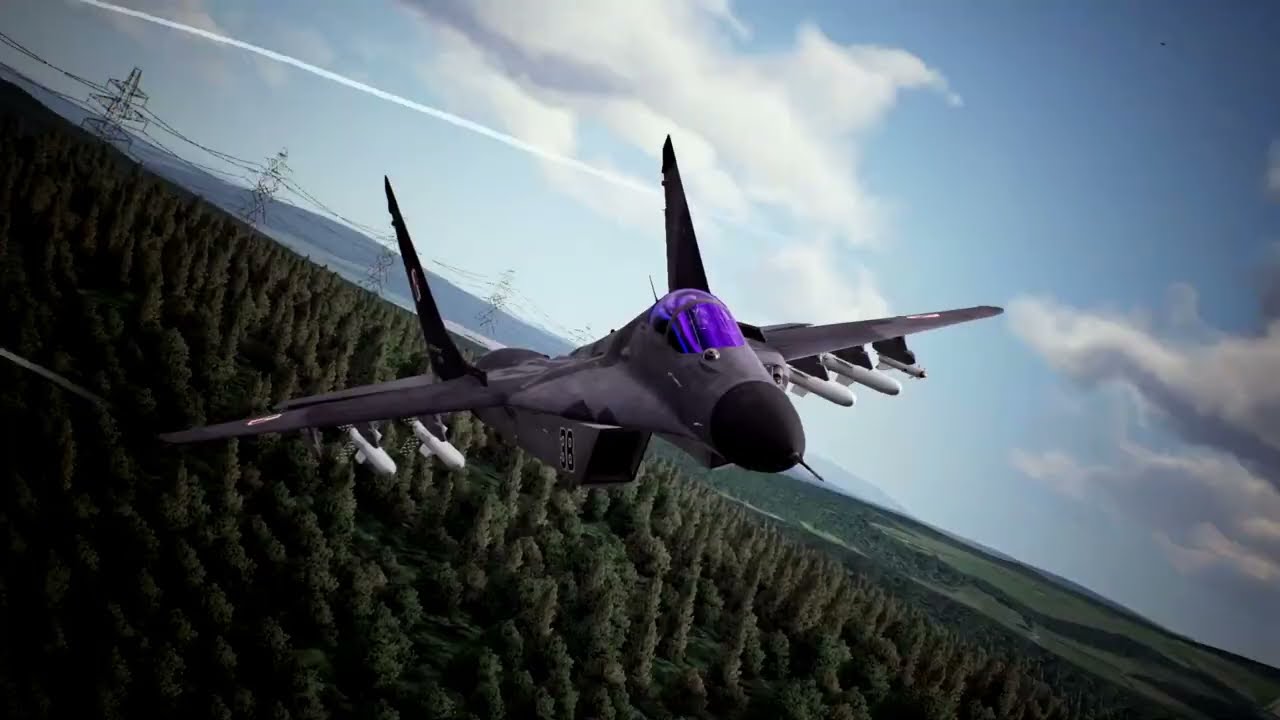 Ace Combat 7-Winged Hussars tribute.