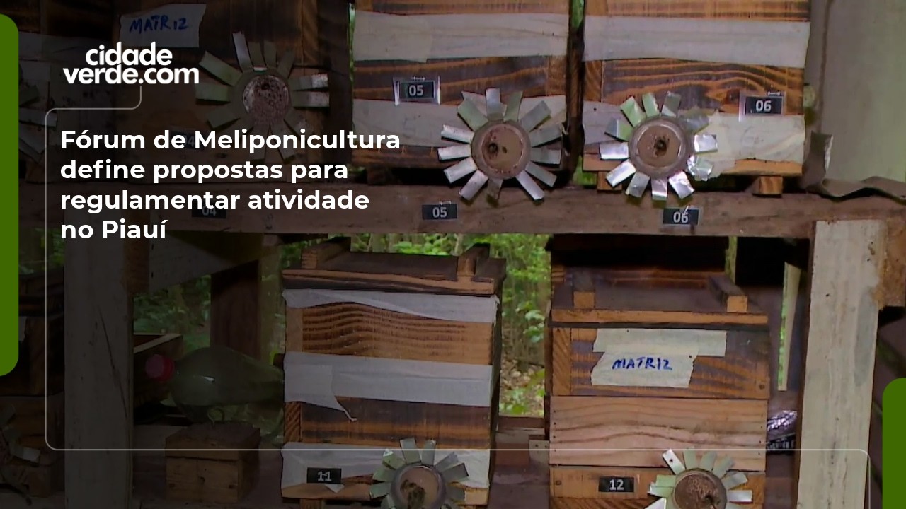 Fórum de Meliponicultura define propostas para regulamentar atividade no Piauí