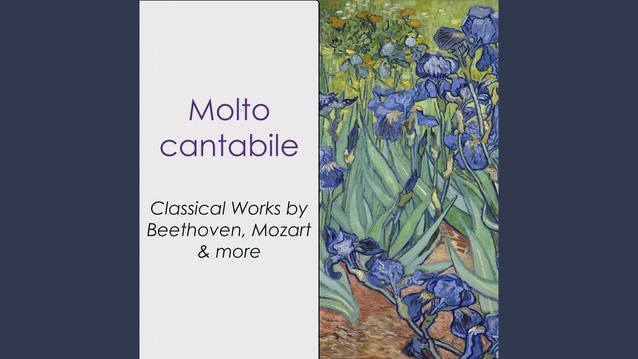Beethoven: Piano Sonata No. 30 in E Major, Op. 109: III. Andante molto cantabile ed espressivo...