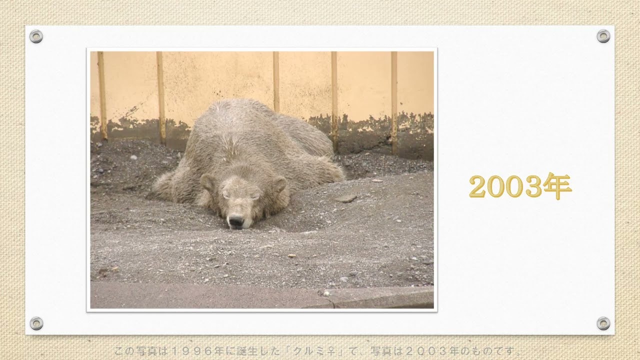 KushiroZoo開園50周年記念動画