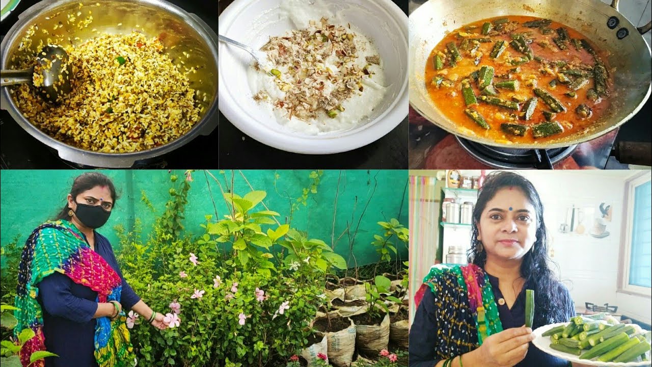 SUNDAY LUNCH TO DINNER FULLDAY ROUTIN, Dahi Bhindi, Elaichi Shrikhand, Paratha, Lauki Kheer, Khichdi