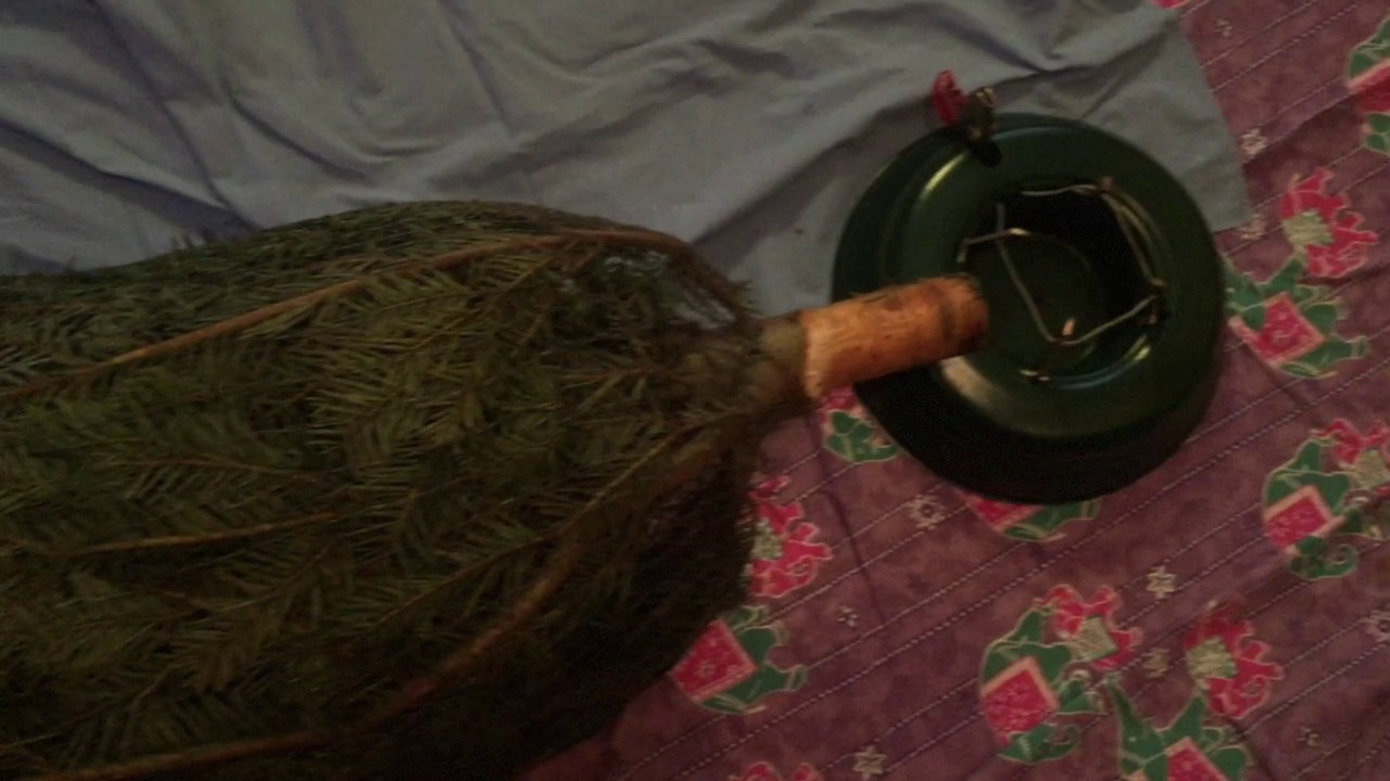 Merry Christmas 2016