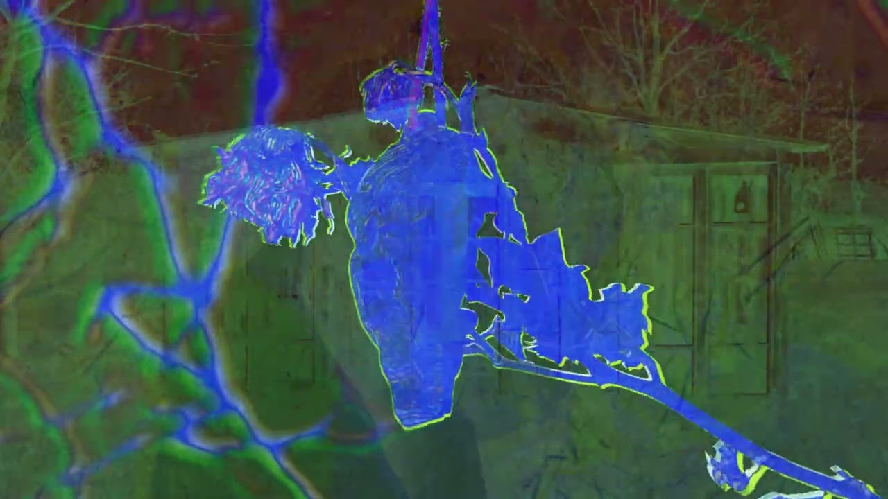 GEOID COLOR CIRCLE (VIDEO LIVE EXCERPT)