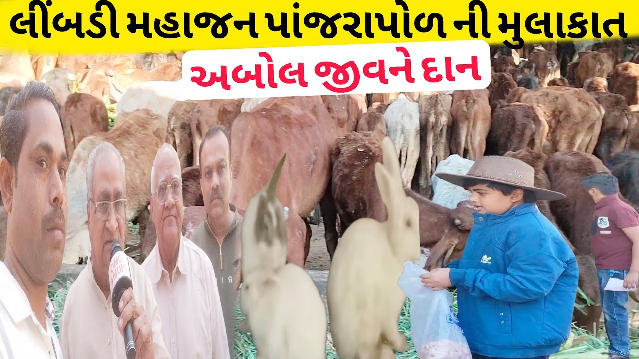 લીંબડી મહાજન પાંજરાપોળની મુલાકાત||અબોલ જીવને દાન||ઉતરાયણ ના દિવસે||જીવ દયા પ્રેમ||animal help||2026