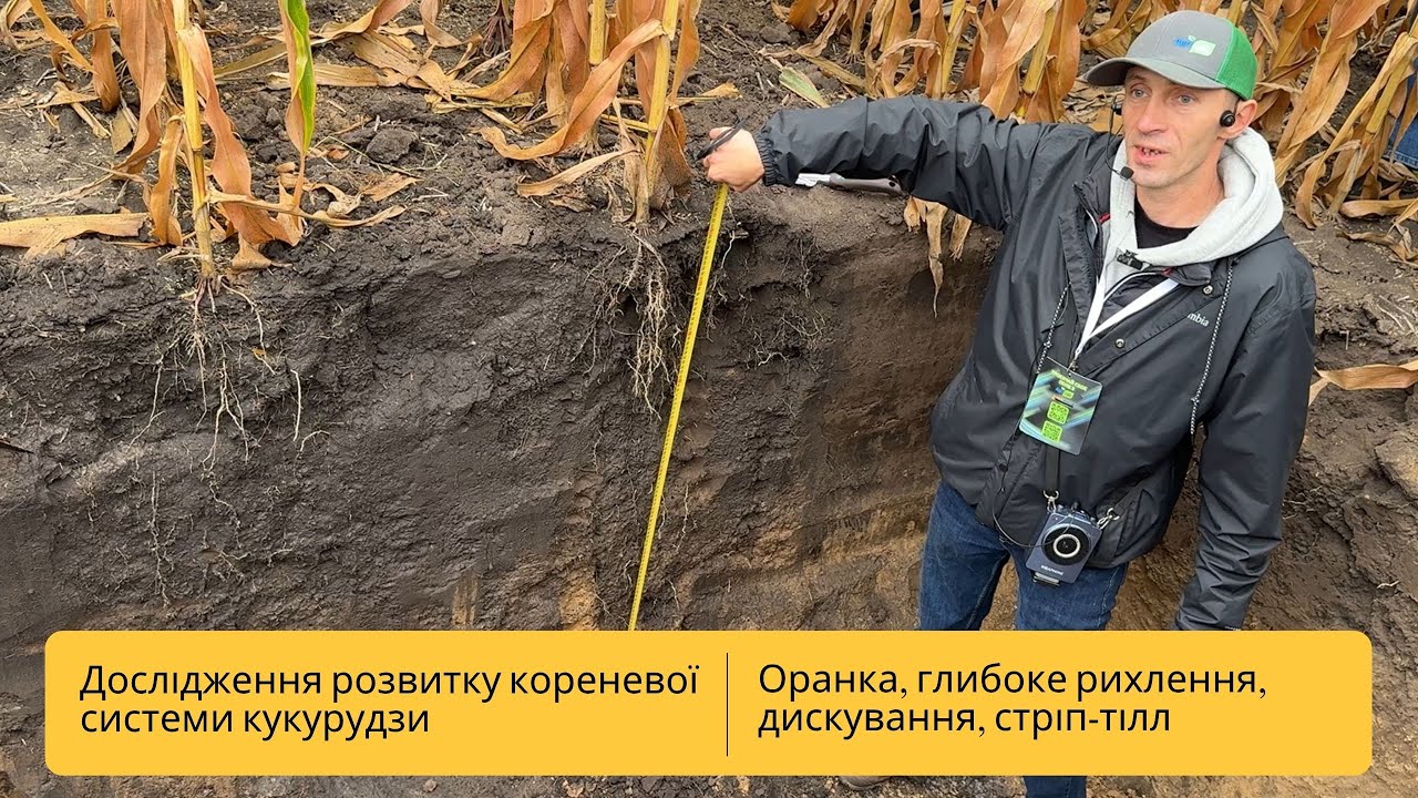 Чотири технології обробітку ґрунту на кукурудзі — хто лідирує?