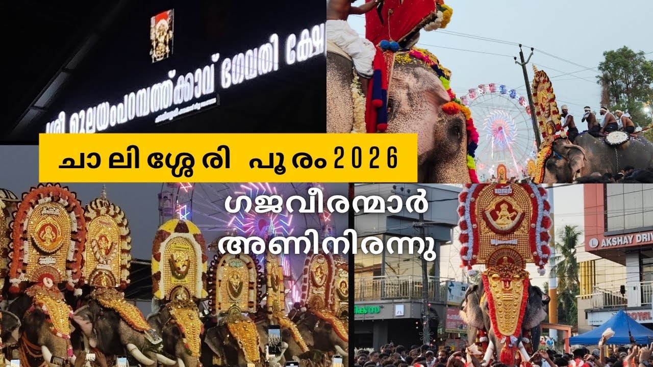 ഗജവീരന്മാർ അണിനിരന്ന ചാലിശ്ശേരി പൂരം ❤️‍🔥| മുലയംപറമ്പത്ത്കാവ് ഭഗവതി ക്ഷേത്രം, ചാലിശ്ശേരി | #pooram 