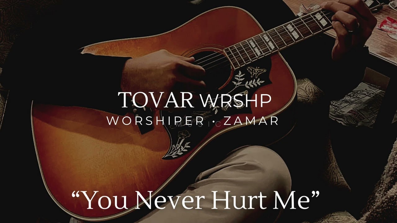 You Never Hurt Me