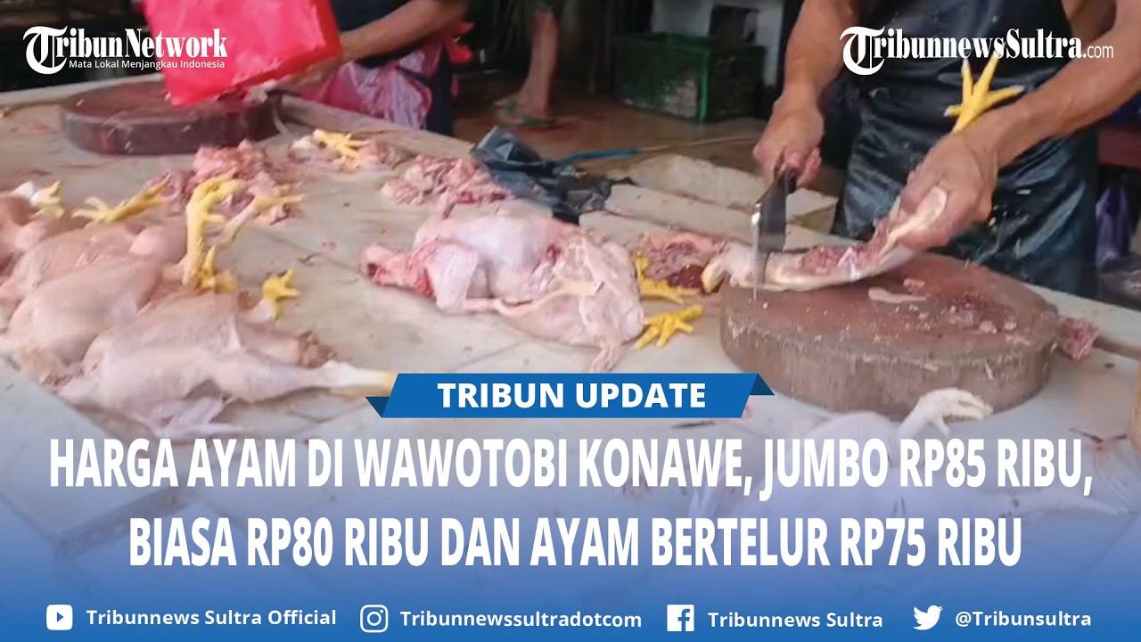 Harga Ayam Jumbo Rp85 Ribu di Wawotobi Konawe, Ramai Dipadati Warga Sejak Hari Pertama Puasa