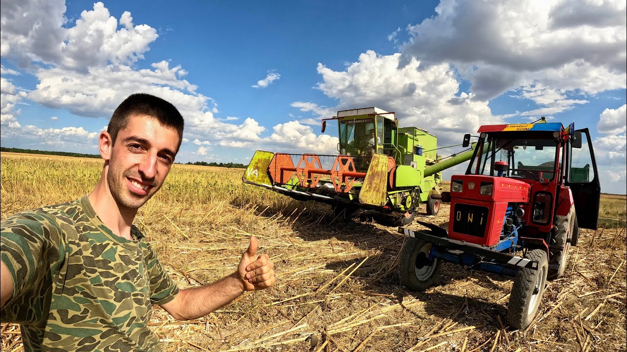 RECOLTAT FLOAREA SOARELUI + CE PRODUCTIE AM AVUT