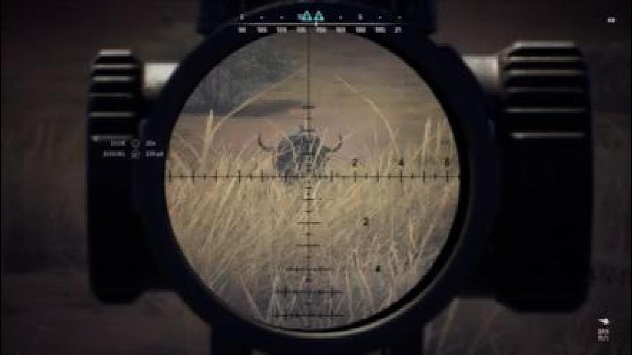 Way of the Hunter Tikamoon plains Why u keep your buggy close while money farming Cape Buffalo