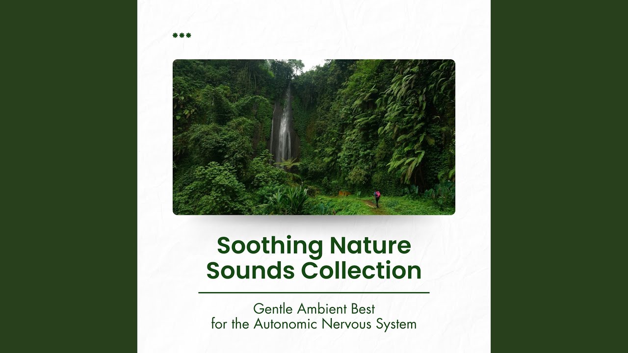 Soothing Night Soundscapes - Gentle Sounds for the Autonomic Nervous System