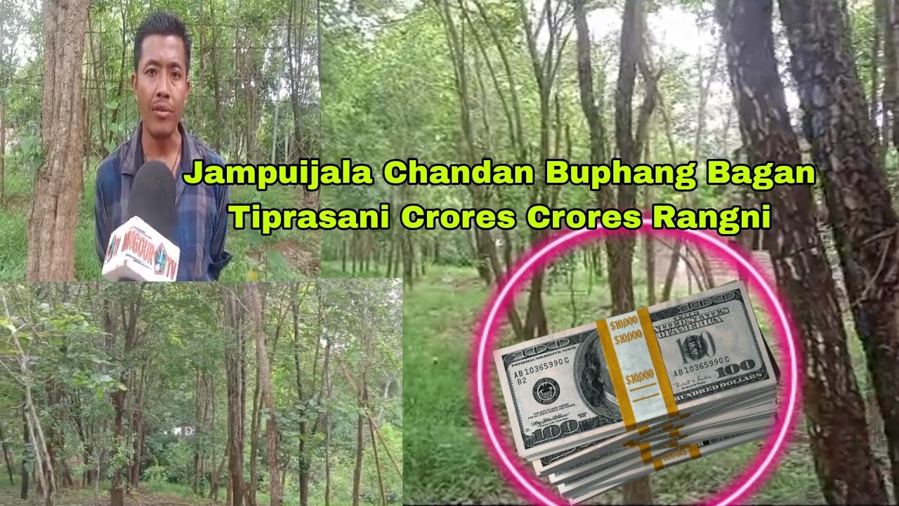 | Jampuijala oh Crores Rangni Chandan Buphang Bagan Tiprasani | Thai magwna ta khaidi Buphang kaidi