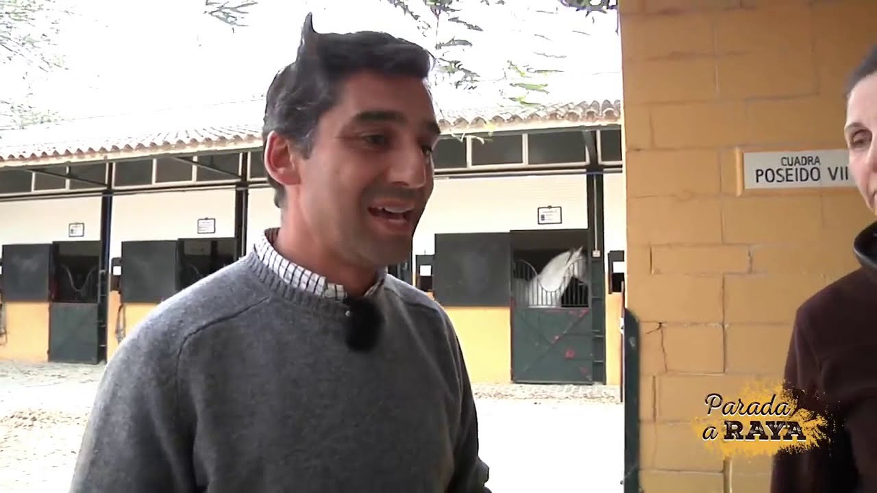Enfriar extremidades del caballo con Hielo - Horse1