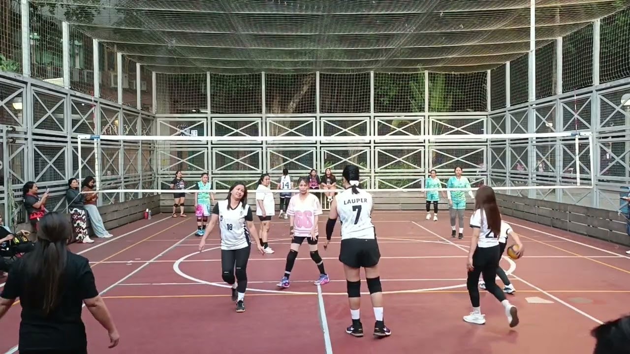 BOLEROS 021826