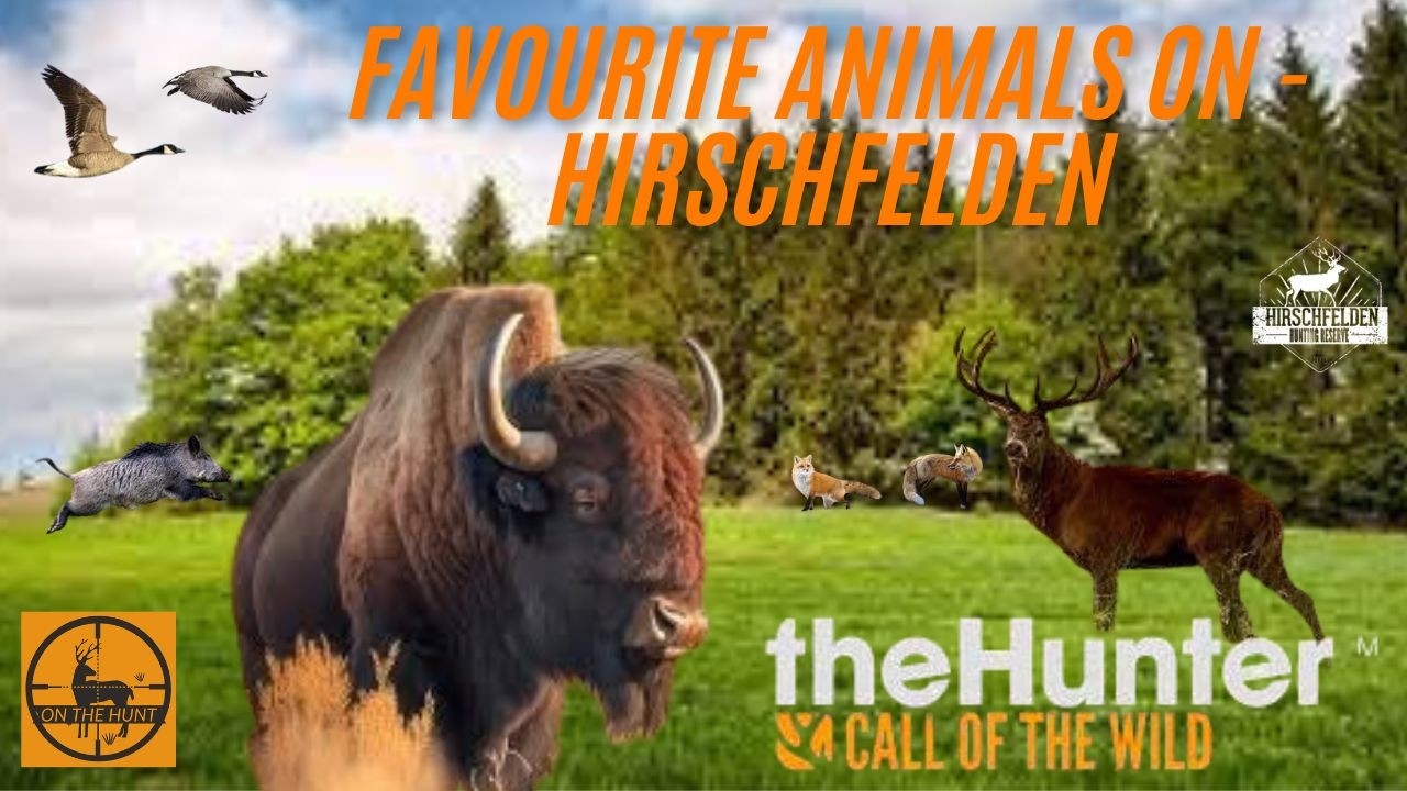 FAVOURITE ANIMAL HUNT HIRSCHFELDEN