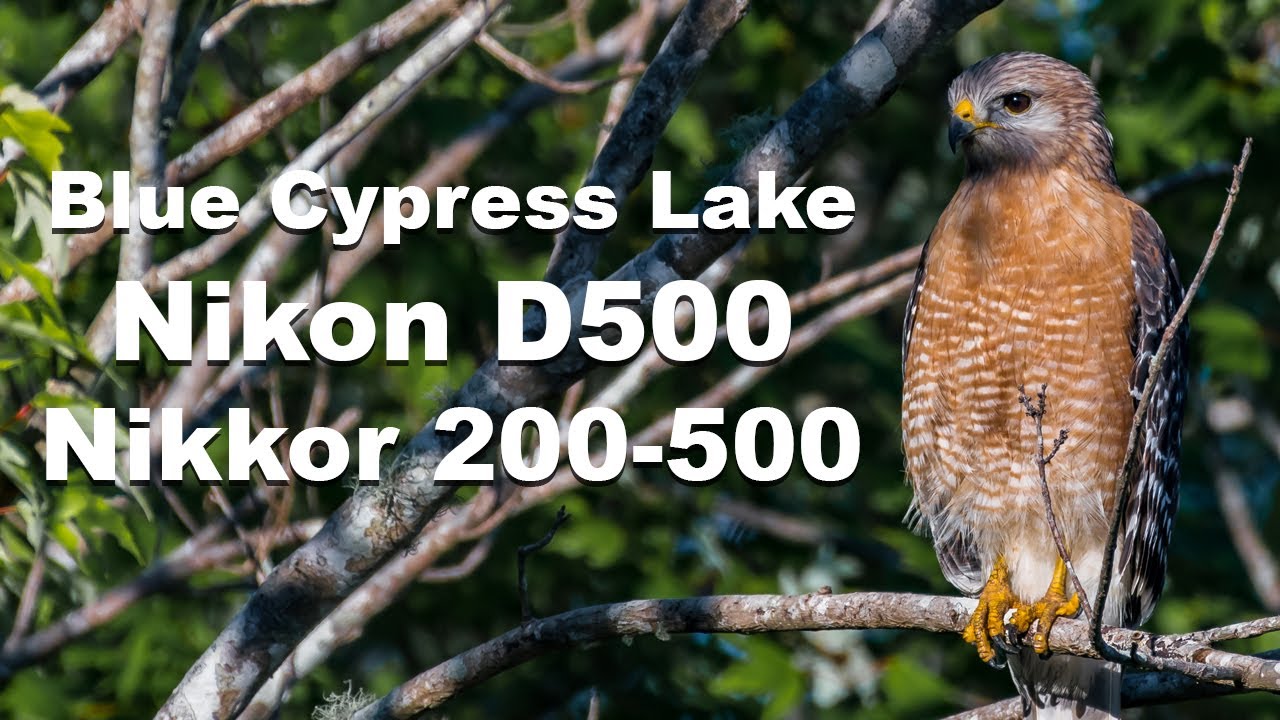 Blue Cypress Lake with the Nikon D500 and the Nikkor 200-500mm Lens