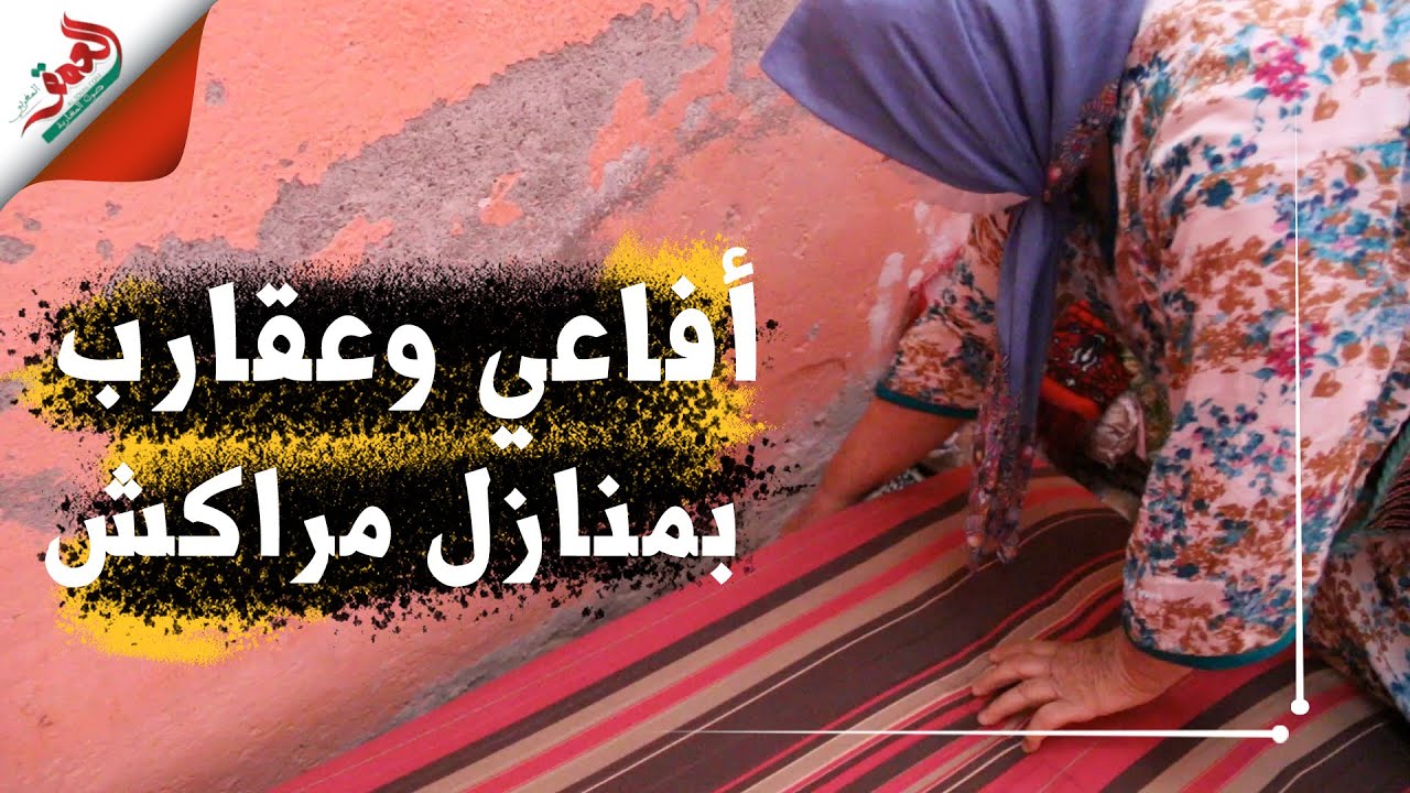 أفاعي وعقارب تخرج من المنازل.. ساكنة أحياء بمراكش تعيش حالة رعب وهذه مطالبهم