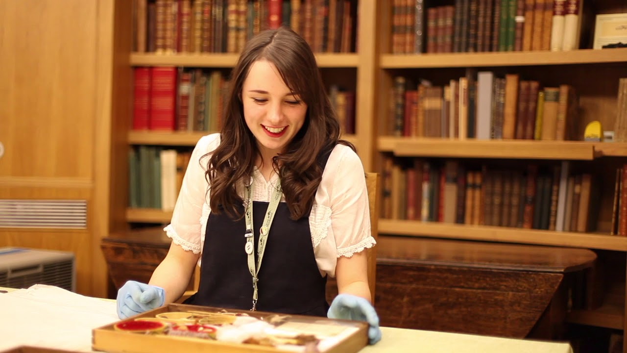 Cabinet of Curiosities