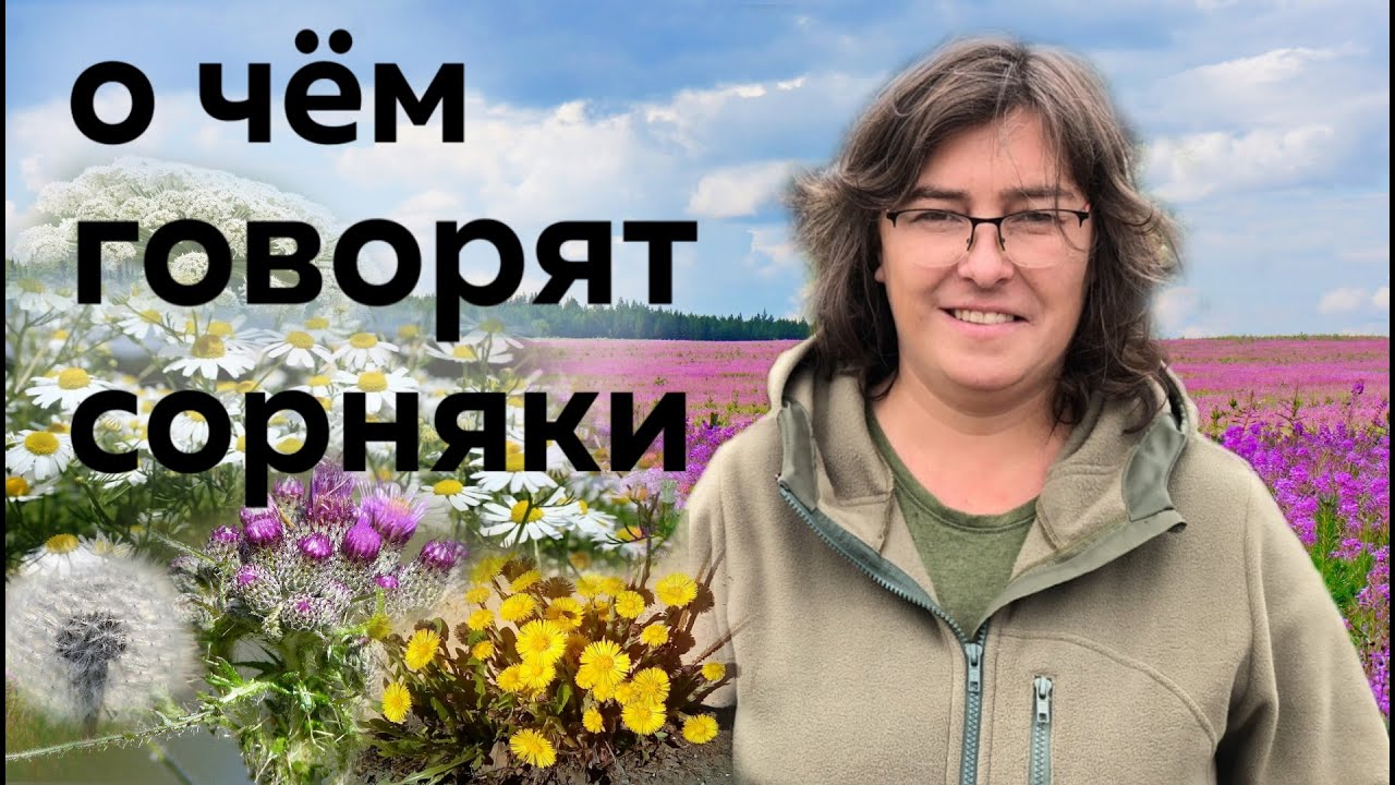 Растения пионеры и рудералы или о чём говорят сорняки.