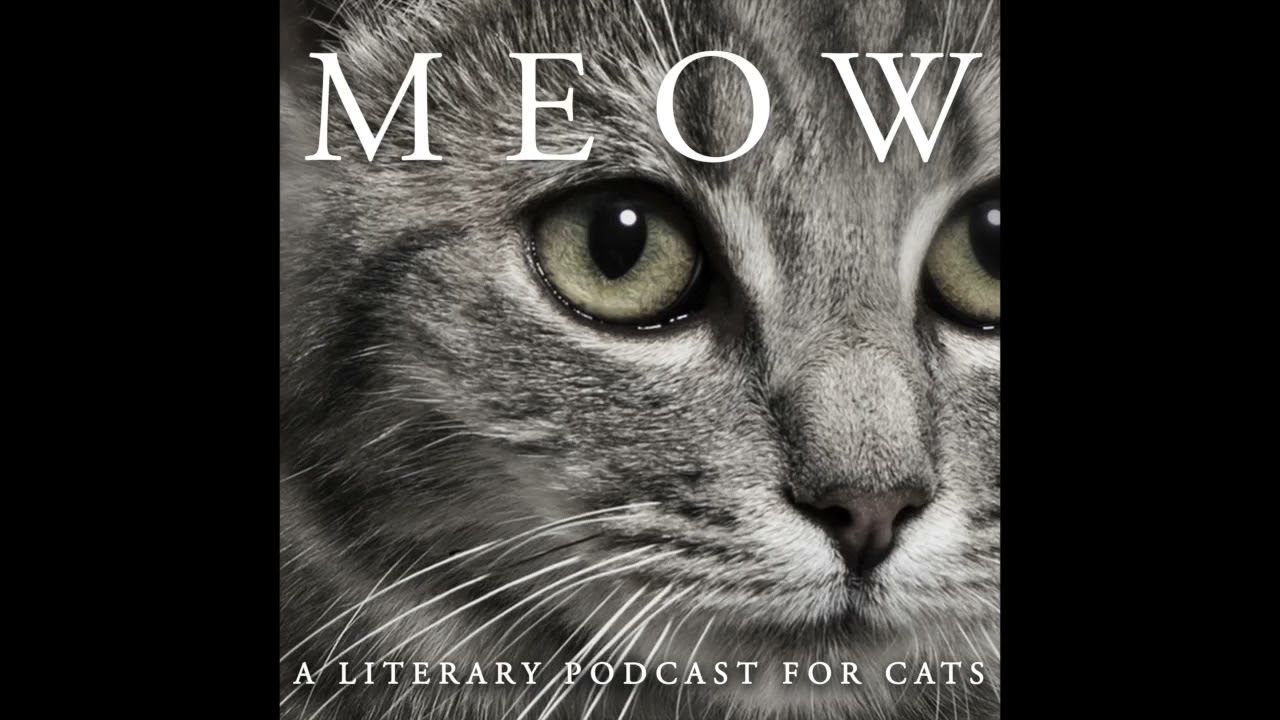 MEOW Literary Podcast Ep. 17 - Jack Skelley, Guy Debord, and LA's Cat Problem