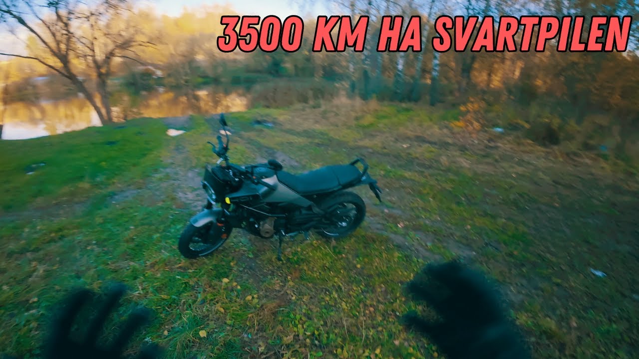 Husqvarna Svartpilen 401 после 2 месяцев и 3500 км