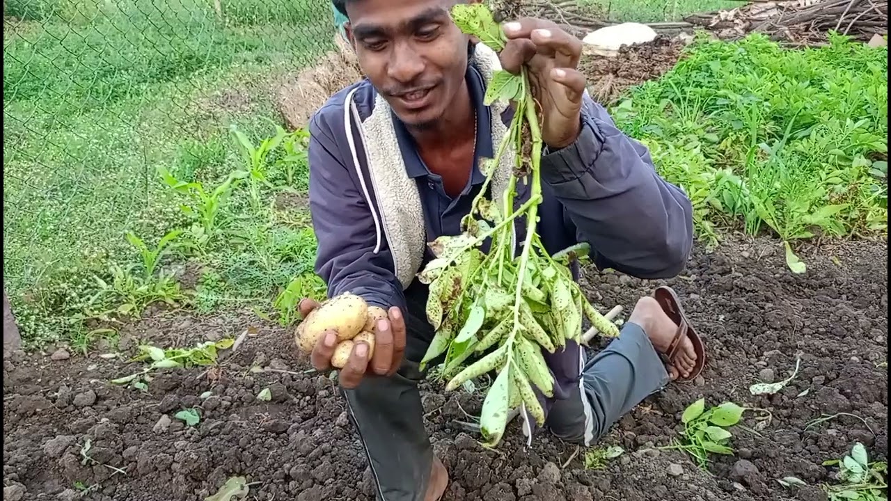 आज मैं अपनी घर में आलू खुदा 😀#viral #vlog 