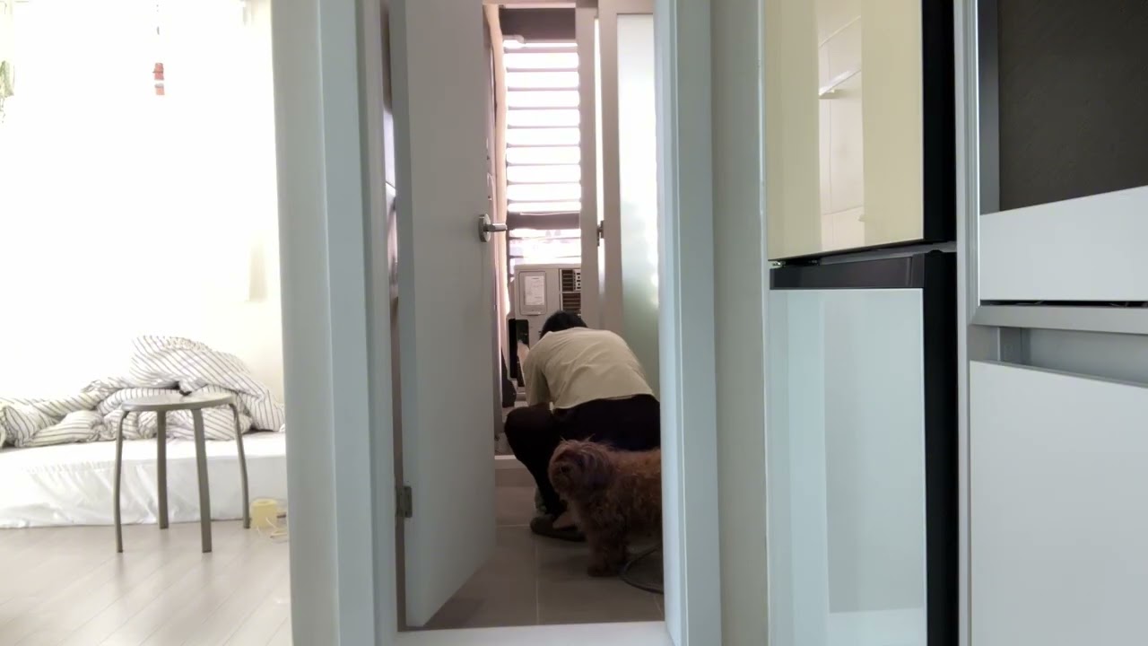 청소가 습관이 될 때까지