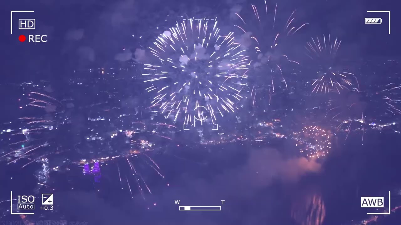 20260214蓮池潭煙火秀