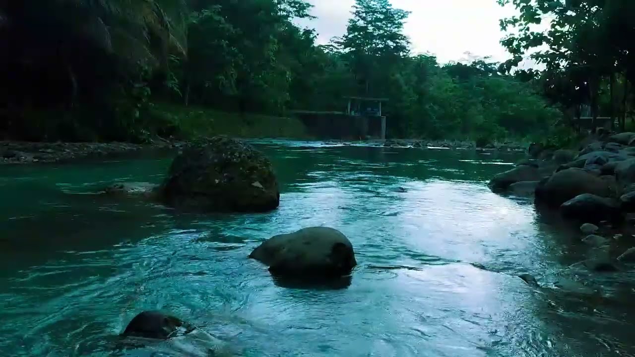 Peaceful Flowing River Sounds – Natural ASMR for Focus and Study
