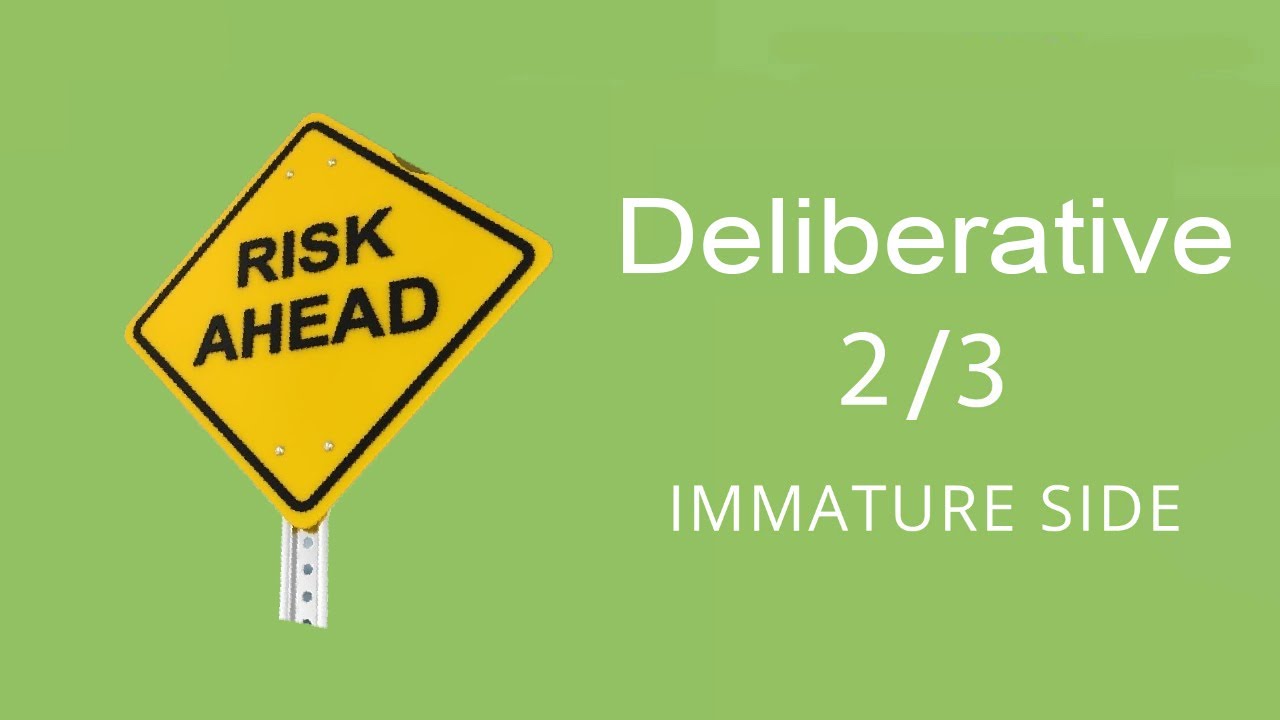 Deliberative 2\3 - Gallup Strengthsfinder