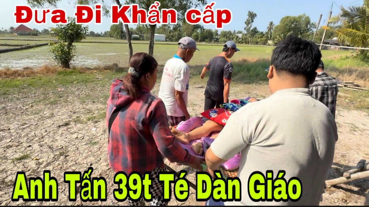 Đưa Đi Khẩn Cấp Anh Tấn 39t Té Dàn Giáo 