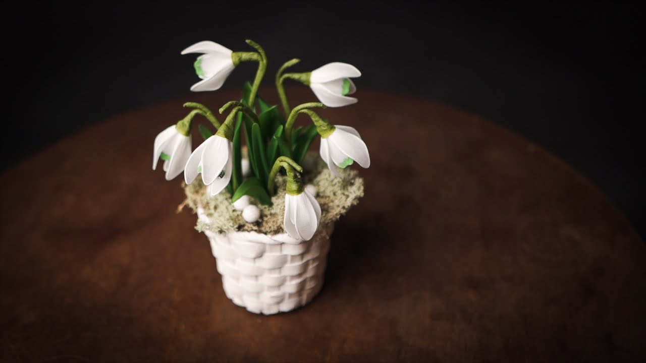 Harisnyavirág // Hóvirág (Nylon flower)