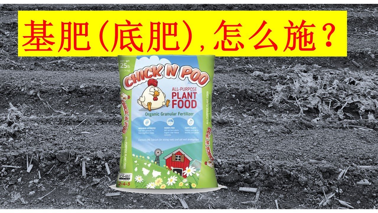 基肥是什么？后院菜地里，怎么用基肥？