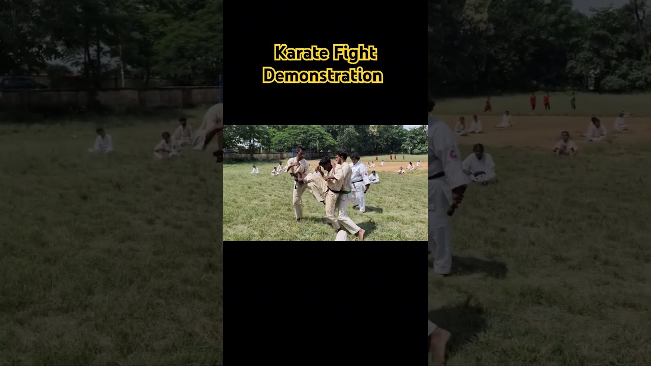 Karate Fight Demo 😱 #karate #demo #fight #martialarts #demo #shorts