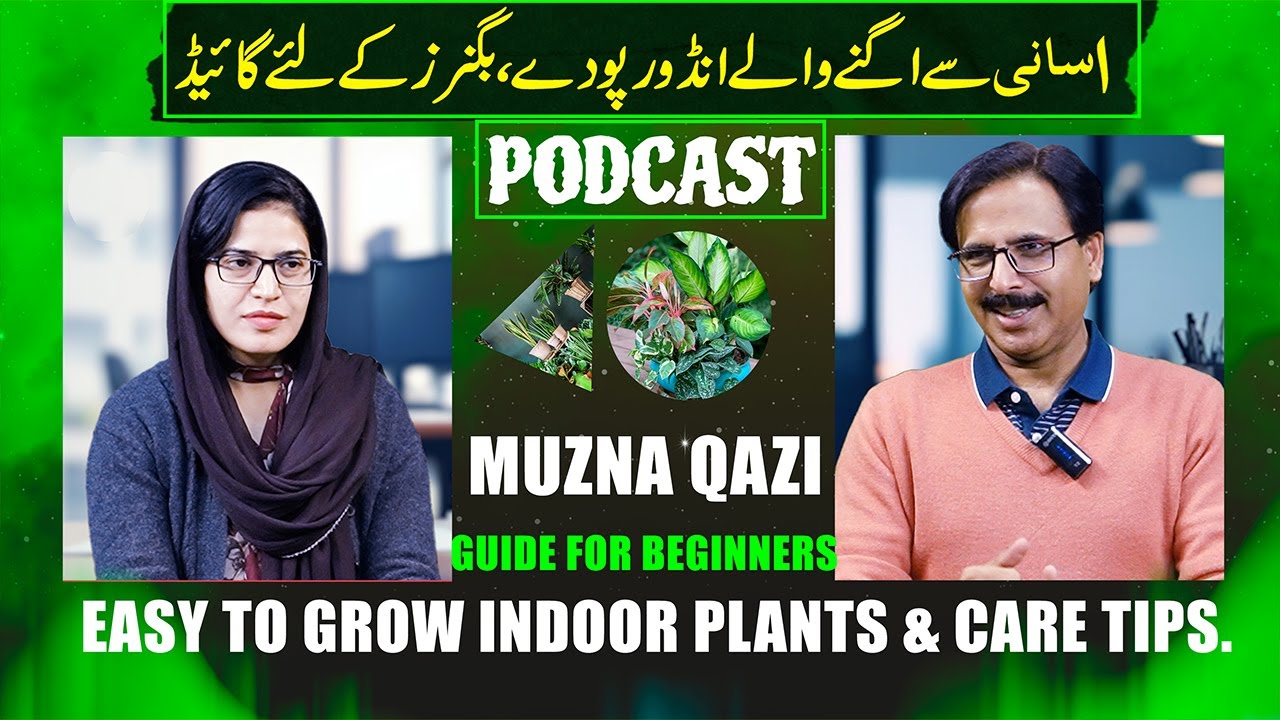 GUIDE FOR BEGINNERS | Easy to grow indoor plants & Care Tips | Gardening With Javed Iqbal