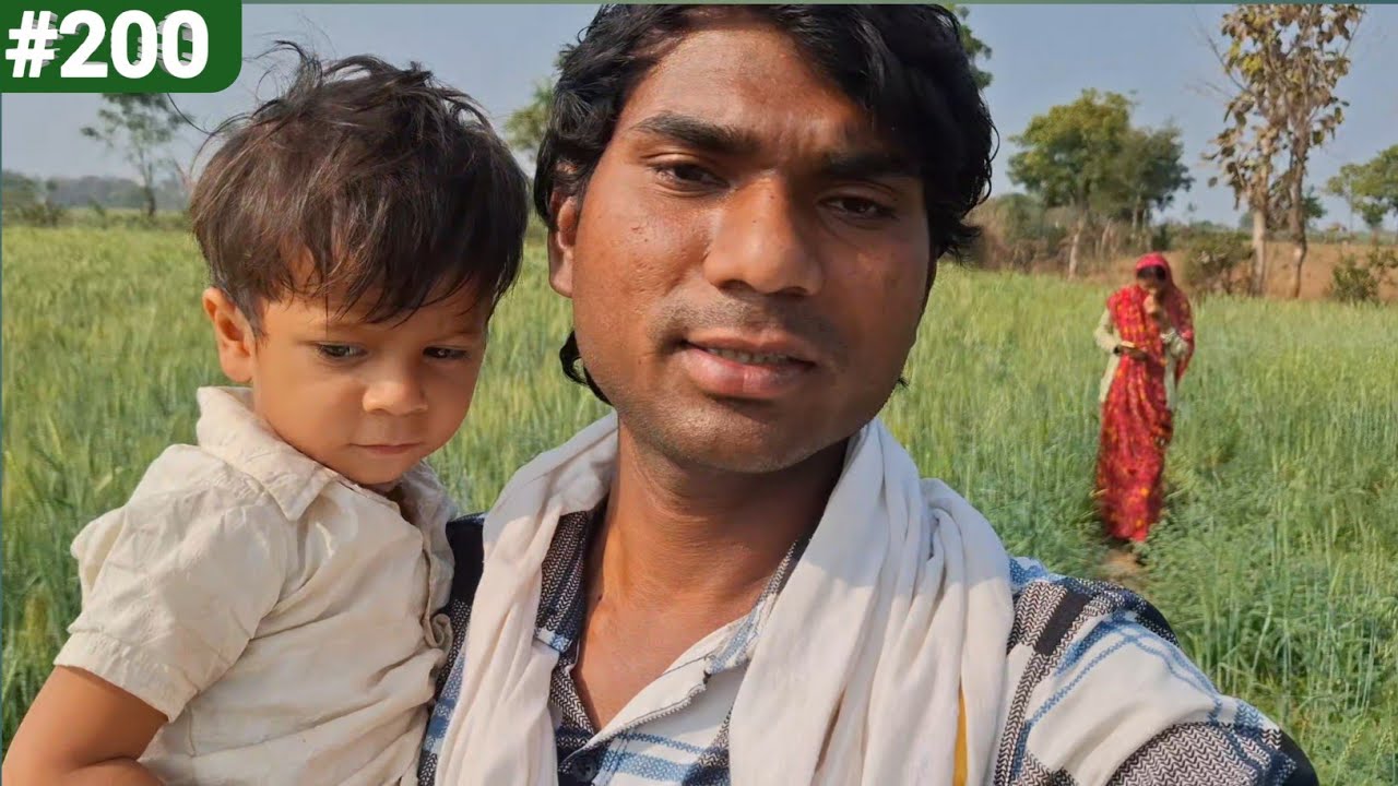 Chane Lene AaGye 🥰 Khet Mein 