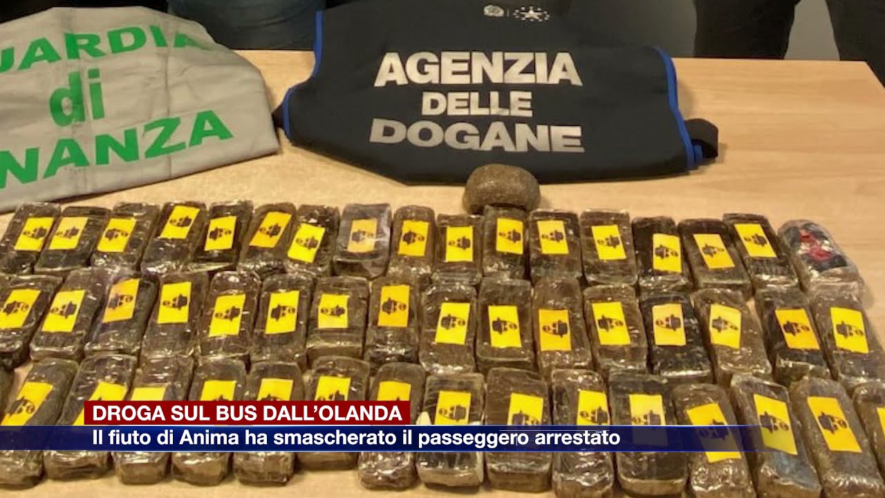 Etg - Passeggero del bus arrestato in dogana, la droga fiutata dal cane della finanza Anima