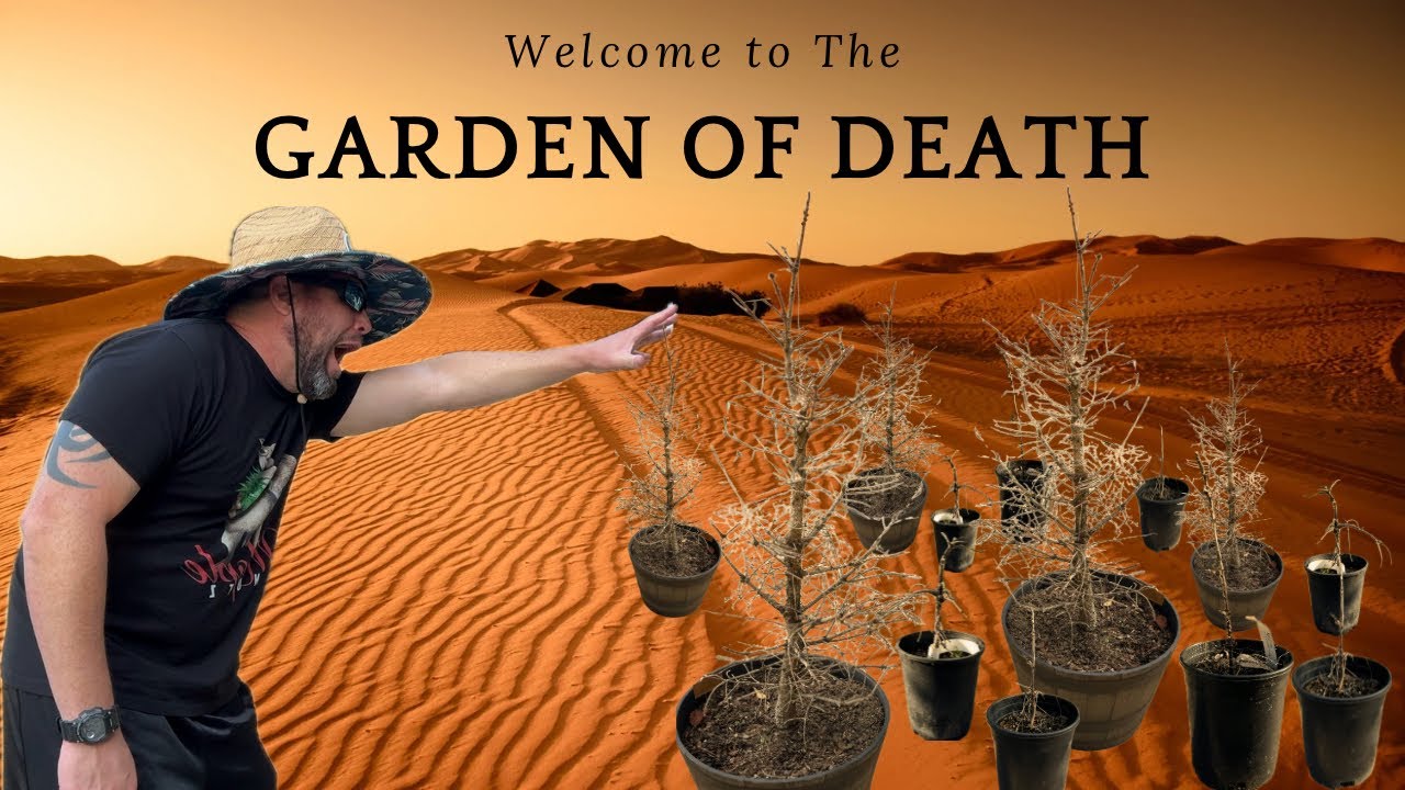 5 Gardening Mistakes That Could Lead To Disaster