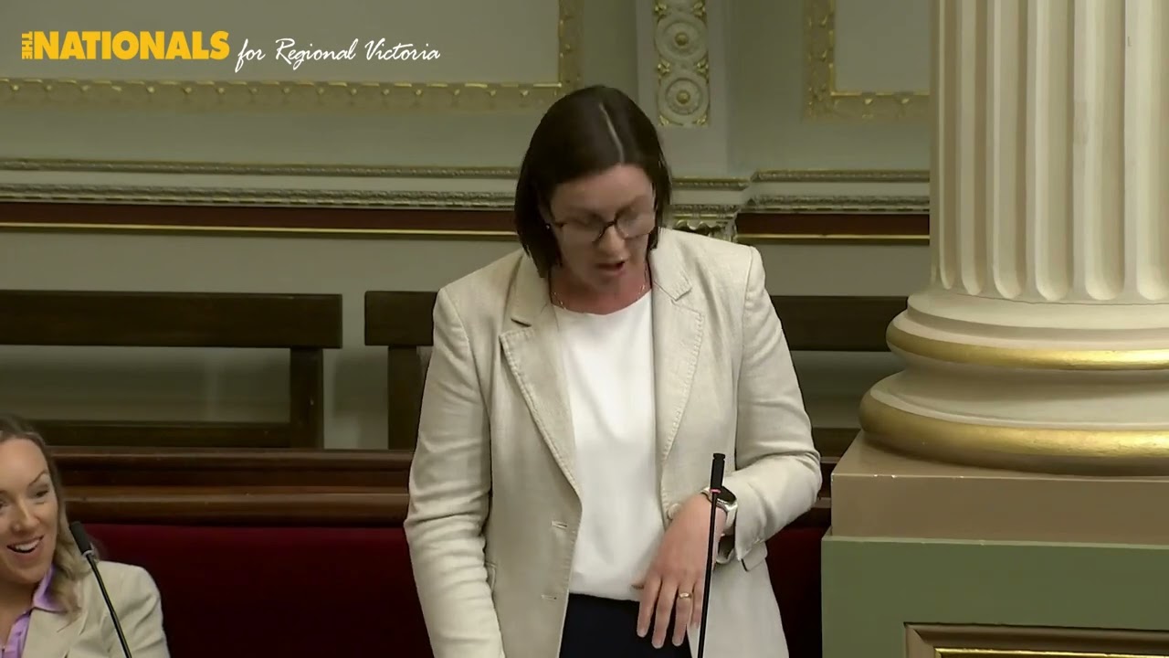 Speech on Bail Further Amendment Bill