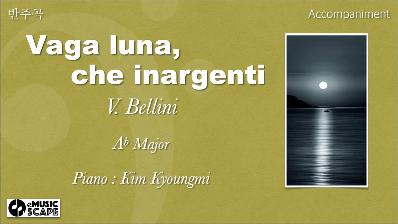 V. Bellini, 