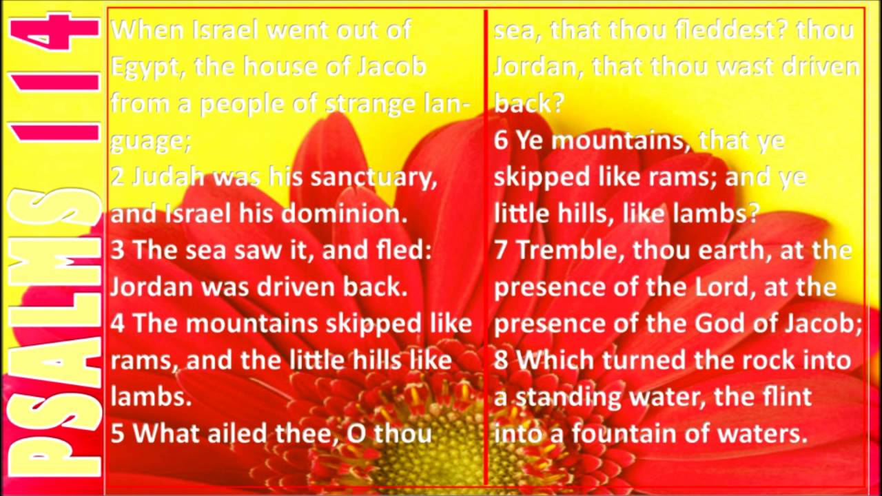 Psalms 111--115