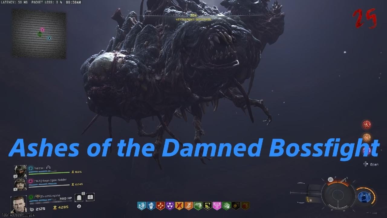 Ashes of the damned Bossfight