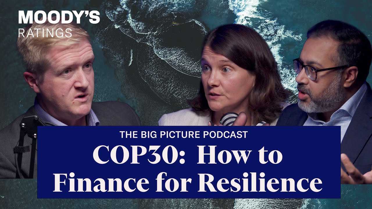 COP30: Возможные решения финансирования для повышения устойчивости