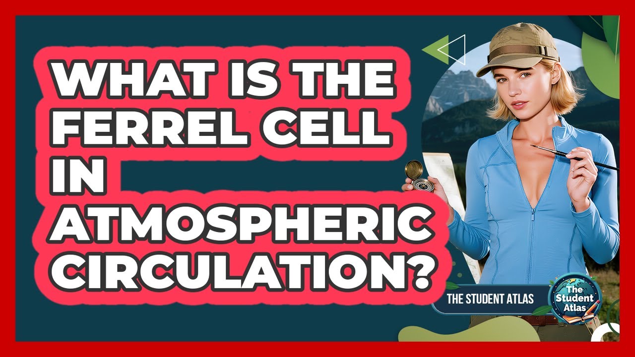 What Is the Ferrel Cell in Atmospheric Circulation?